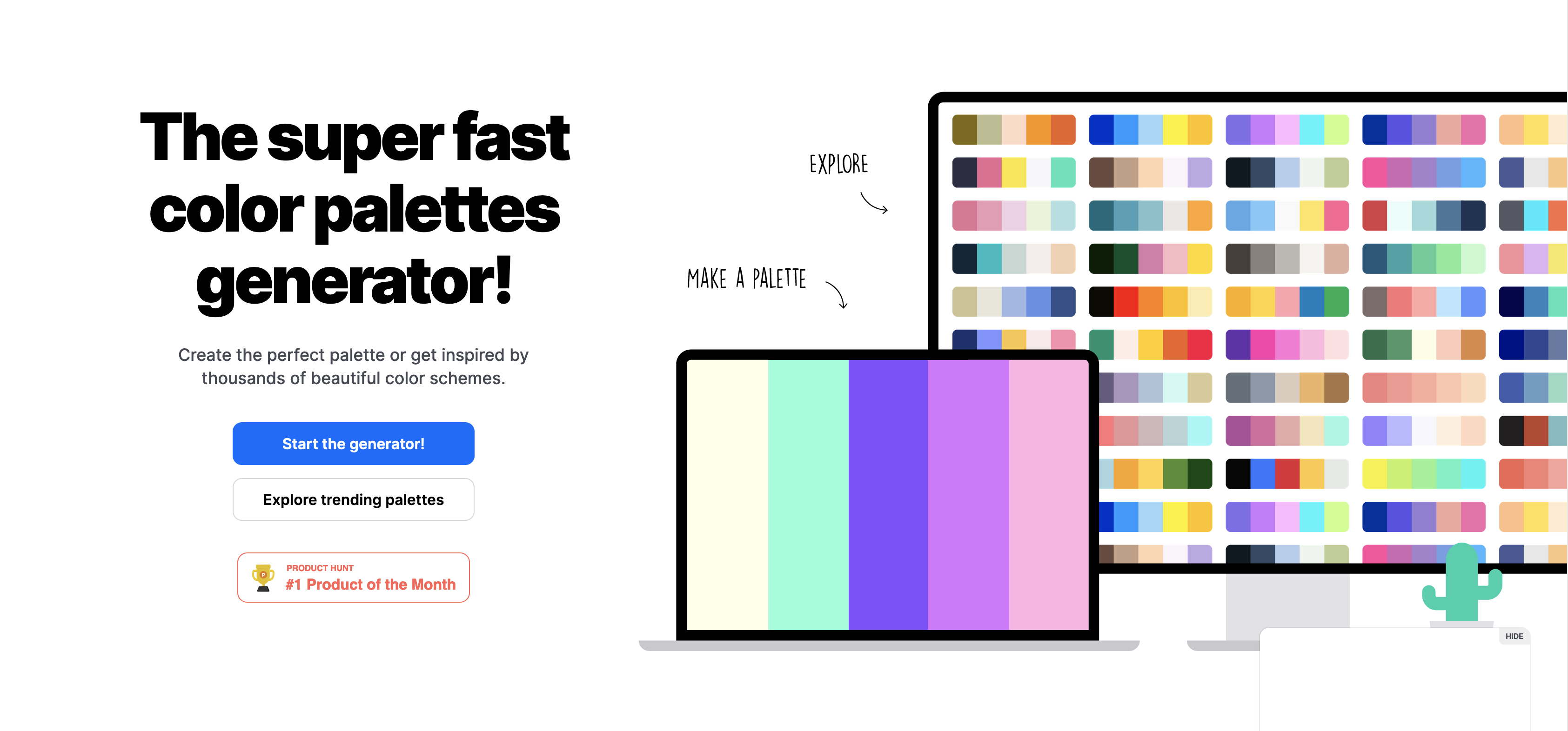 Coolors Website